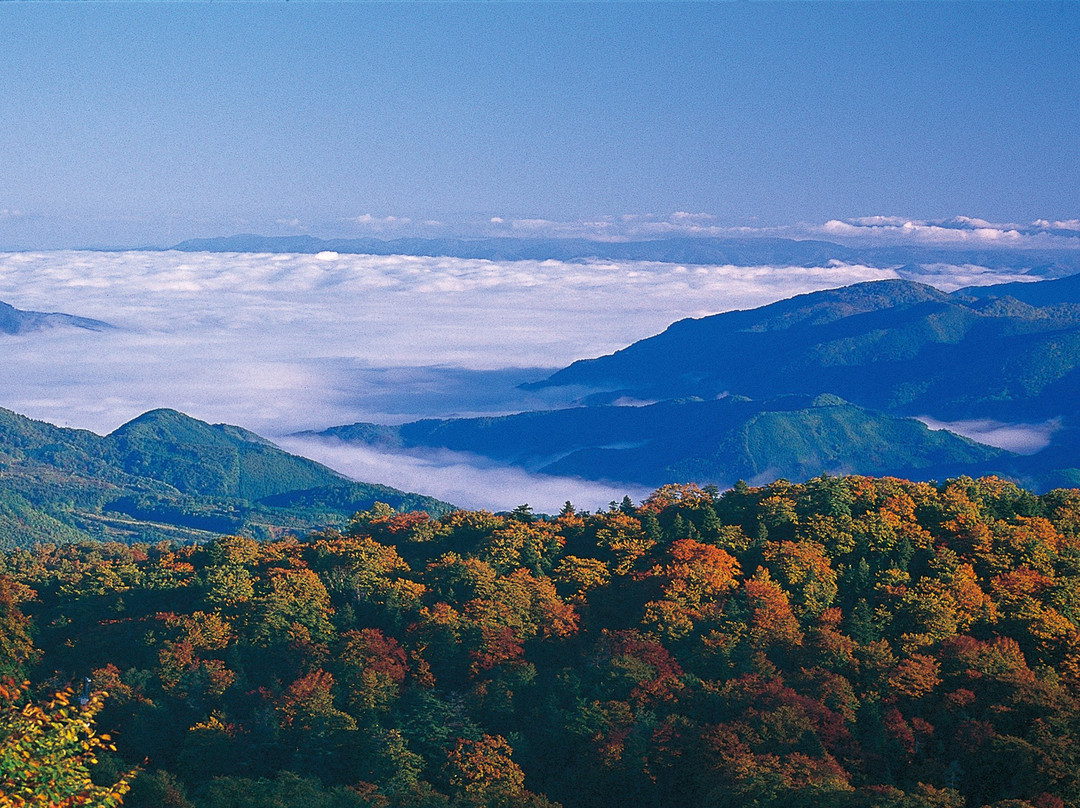 秋田县旅游攻略图片