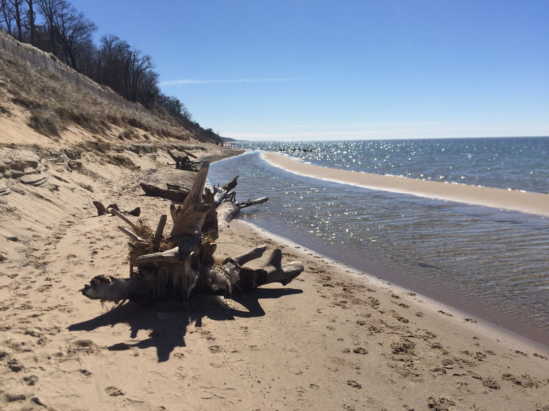 West Olive旅游攻略图片