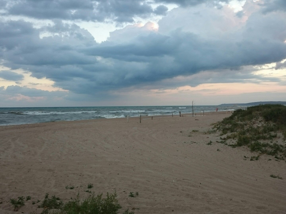 Veselovka Eco Spot