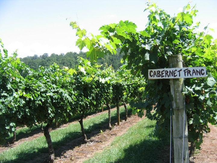 Young Harris旅游景点-Crane Creek Vineyards