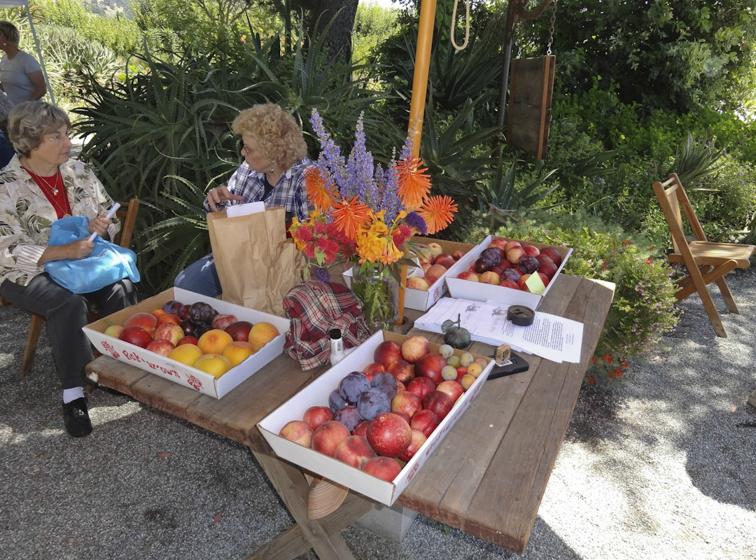 Andy's Orchard-摩根希尔必去景点