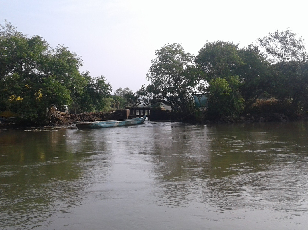 Zuari River景点图片