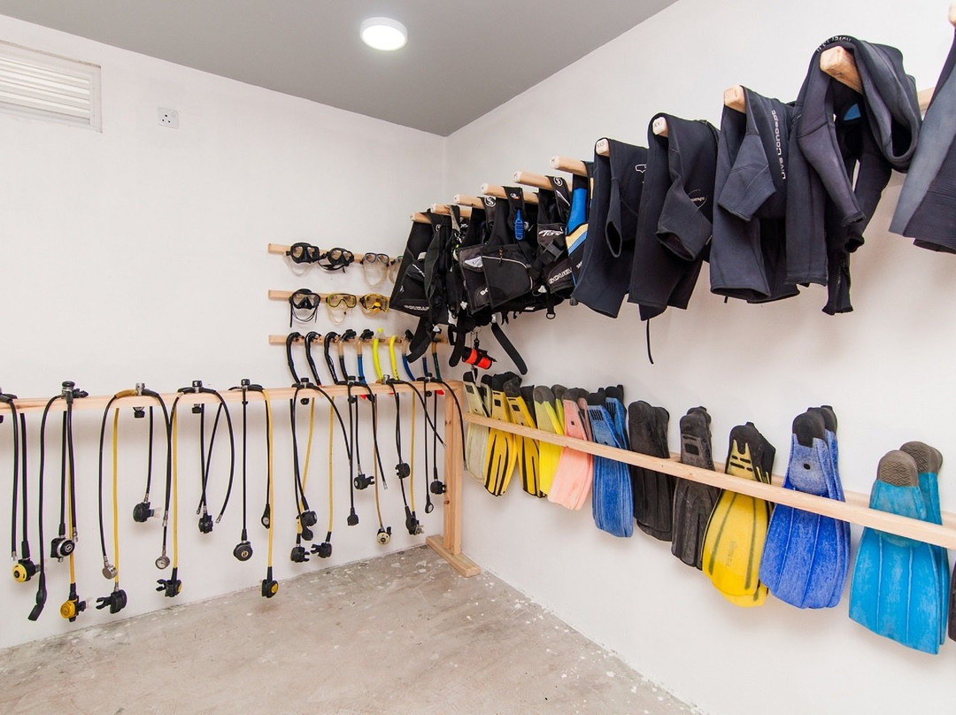 South Ari Dive Center主图