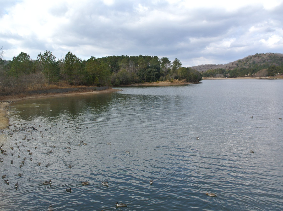 小野市旅游景点-Kamoike Park