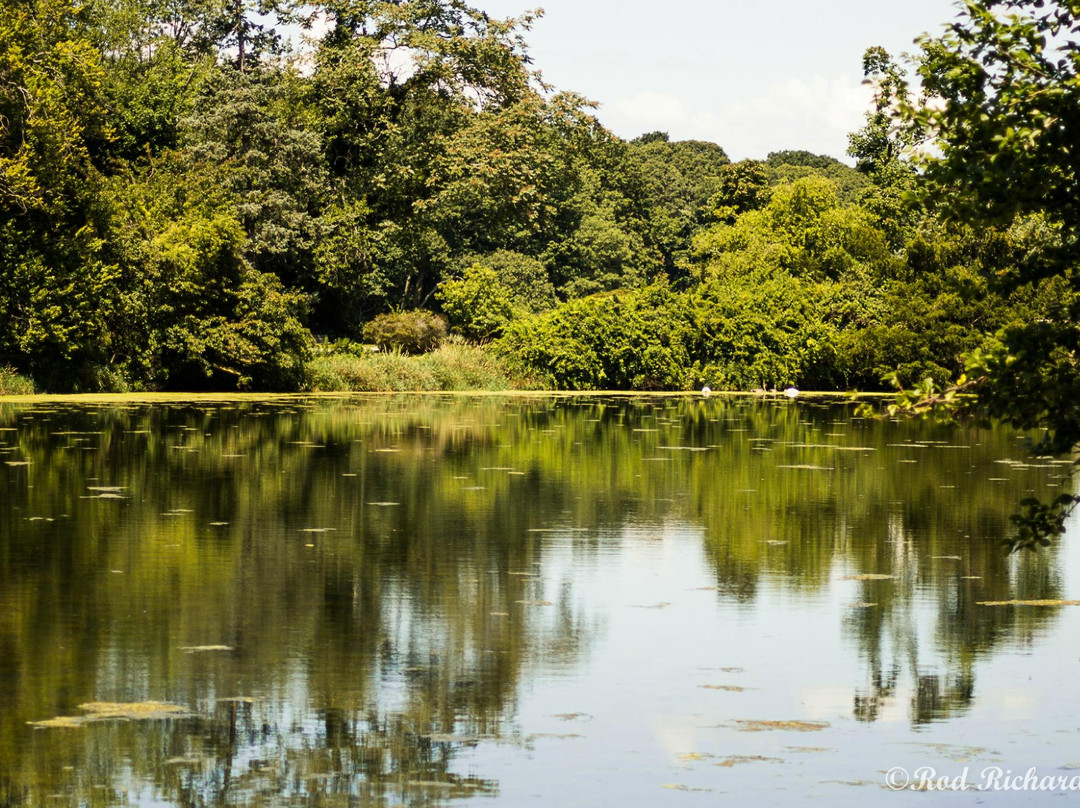 East Setauket Pond Park