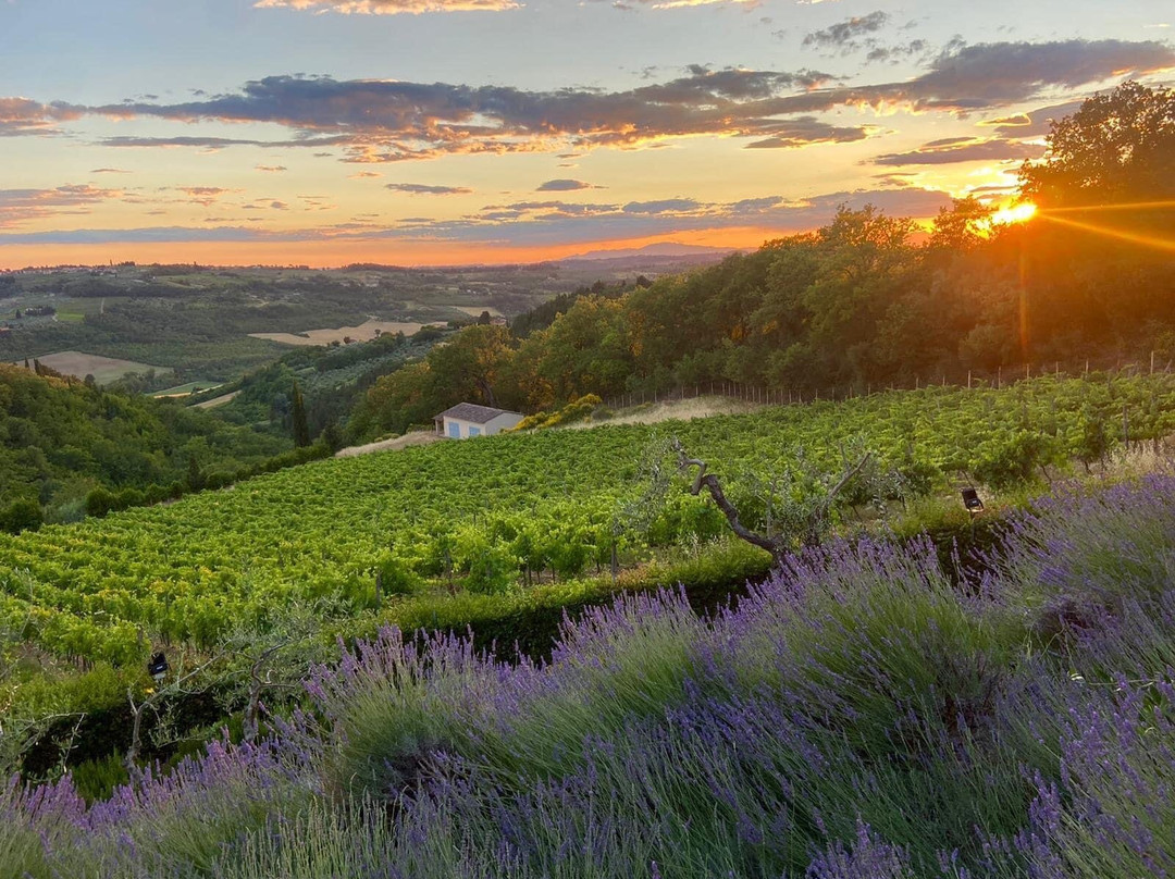 Da Tiberio A San Casciano