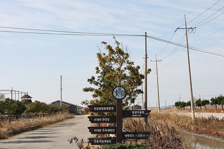 Taepyeong Salt Farm-新安郡必去景点