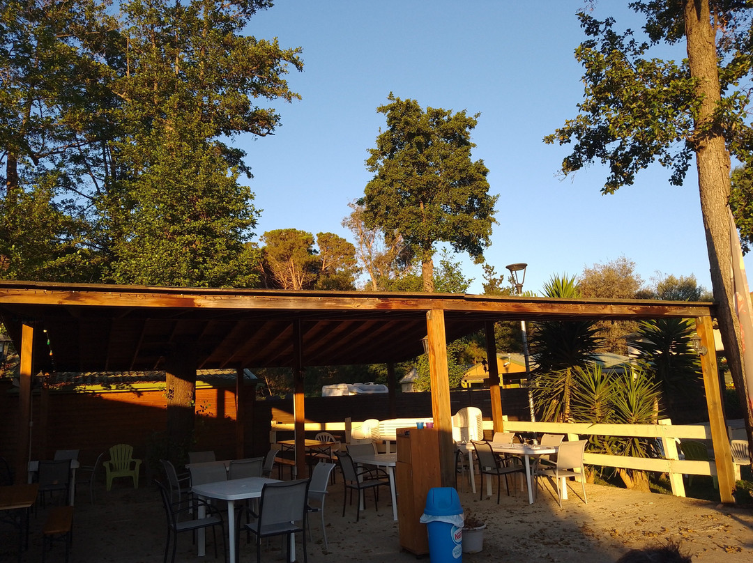 Ri-Veu Corse Dans Camping Marina di Sorbo