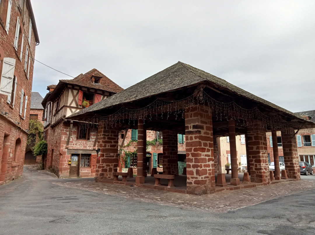 Halle À Grains景点图片
