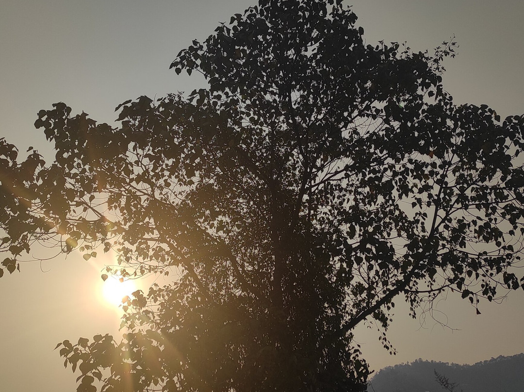 Malepartus Cafe & Restaurant