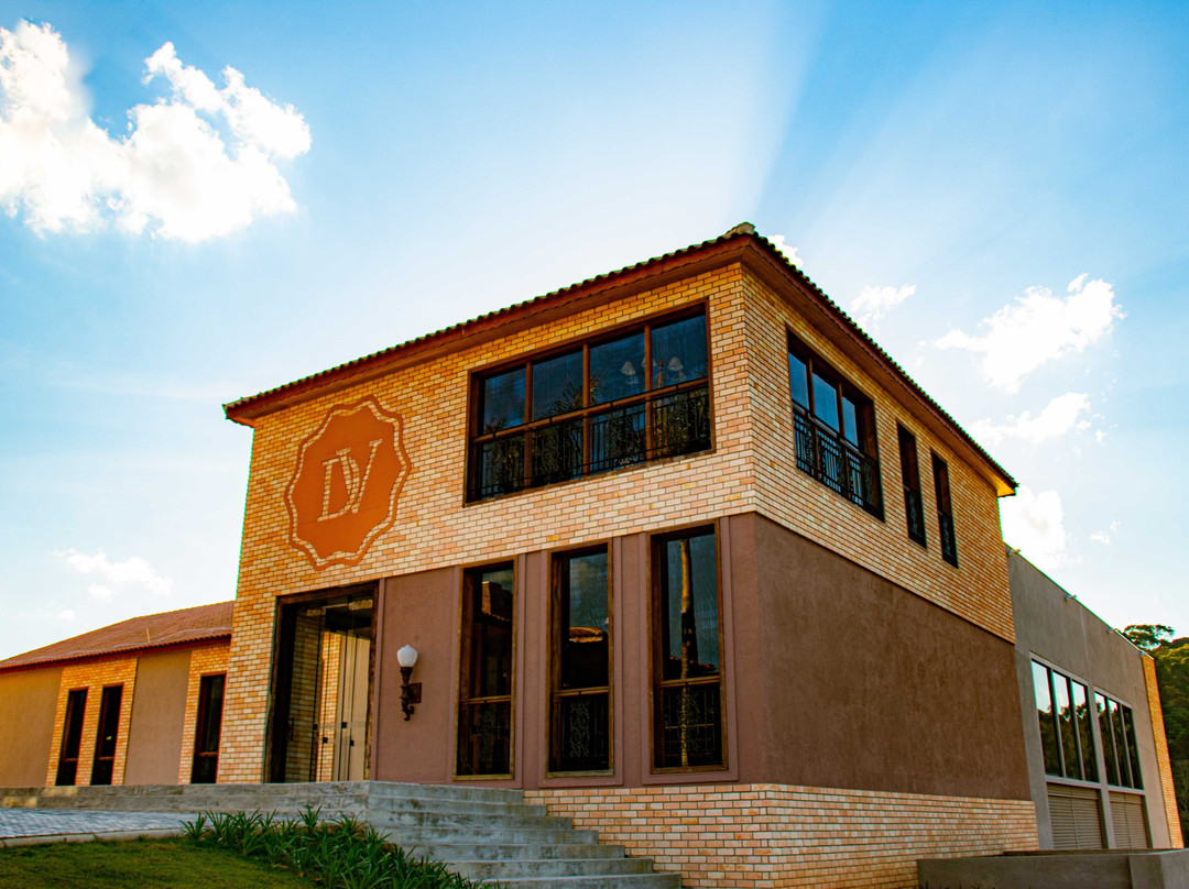 Hotel Vinícola Davo主图