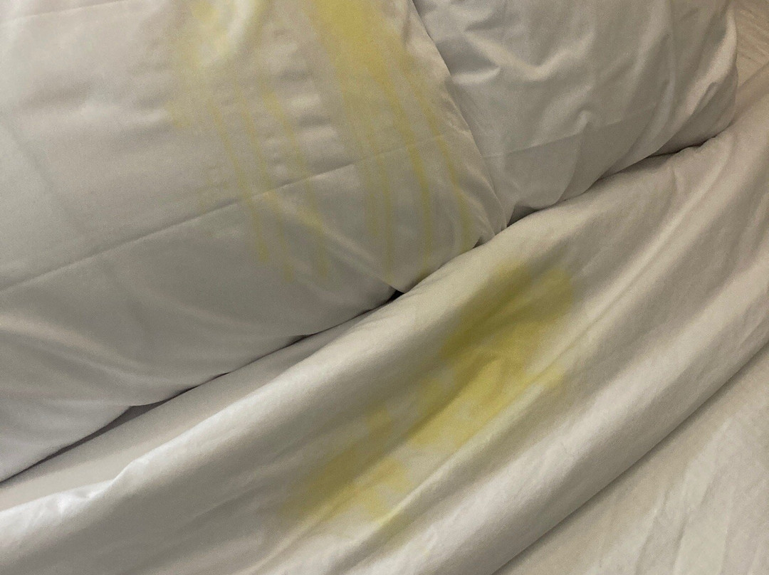 Wingate by Wyndham Panama City Area Lynn Haven主图