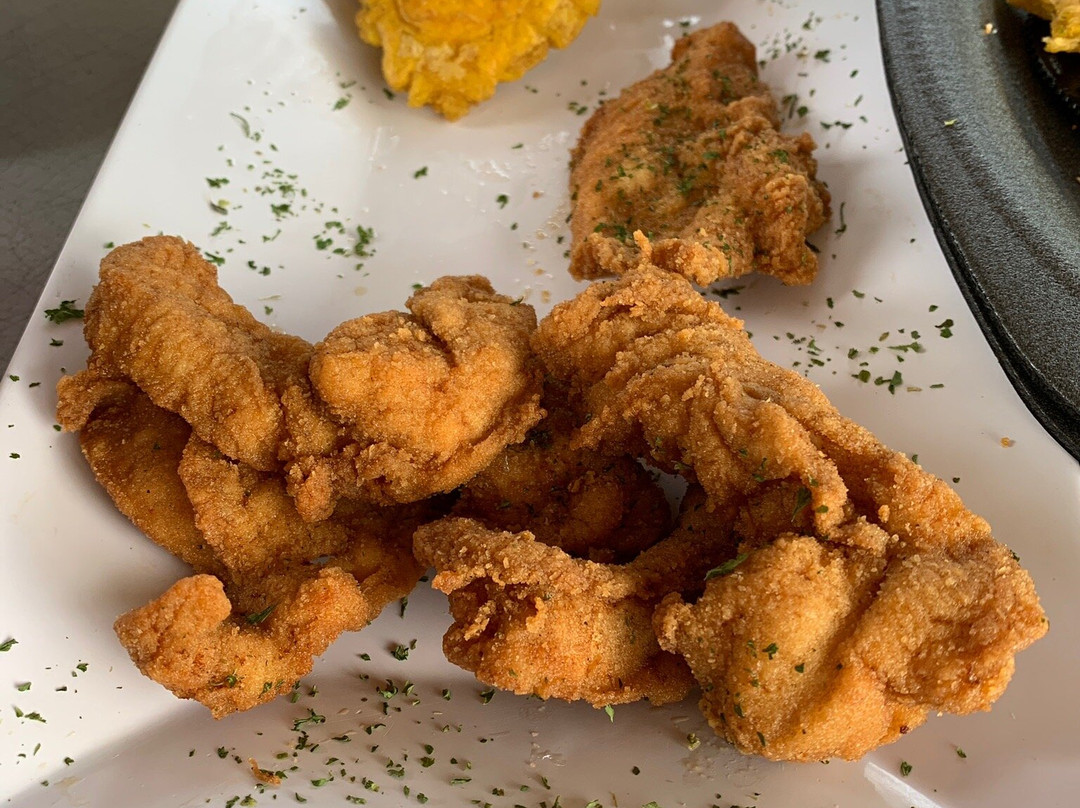 Mirador Piedra Degetau-Aibonito必去景点