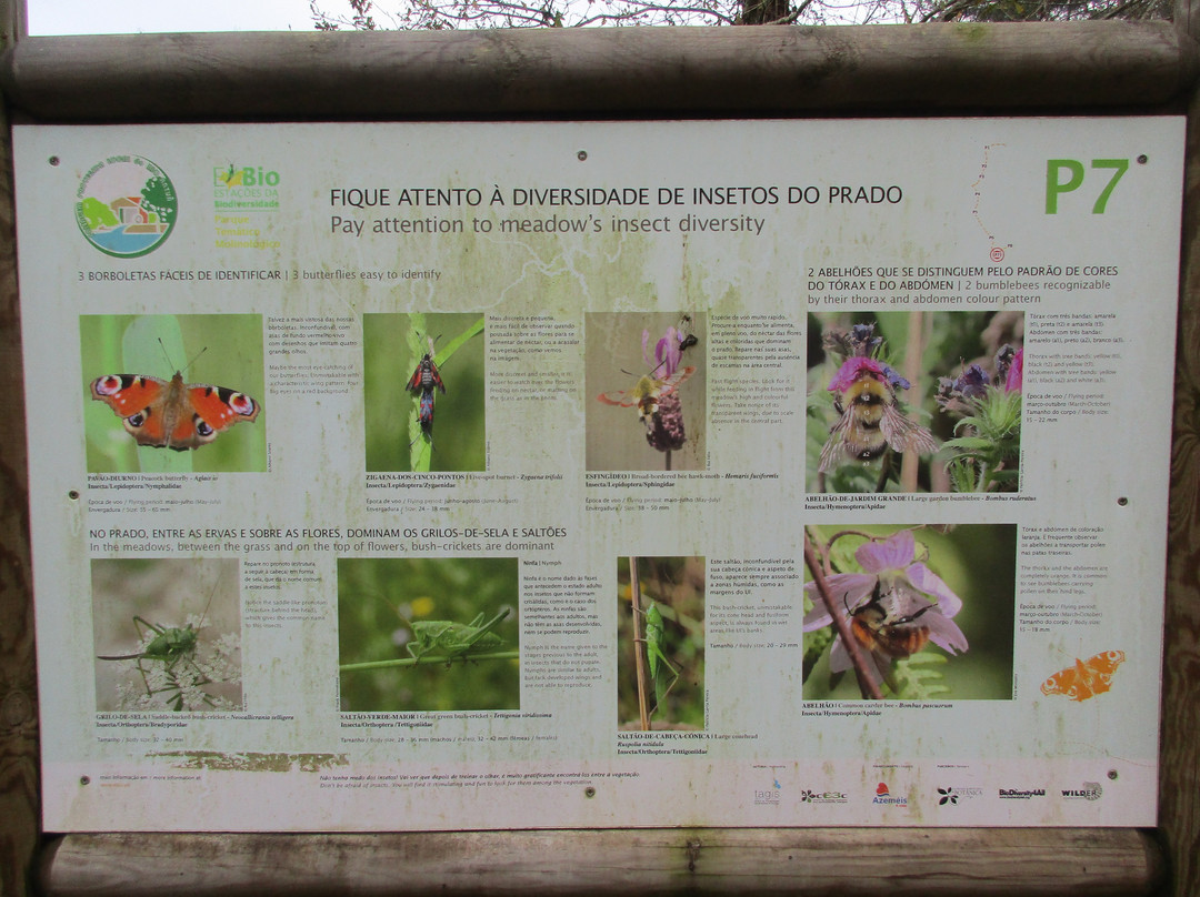 Parque Tematico Molinologico景点图片
