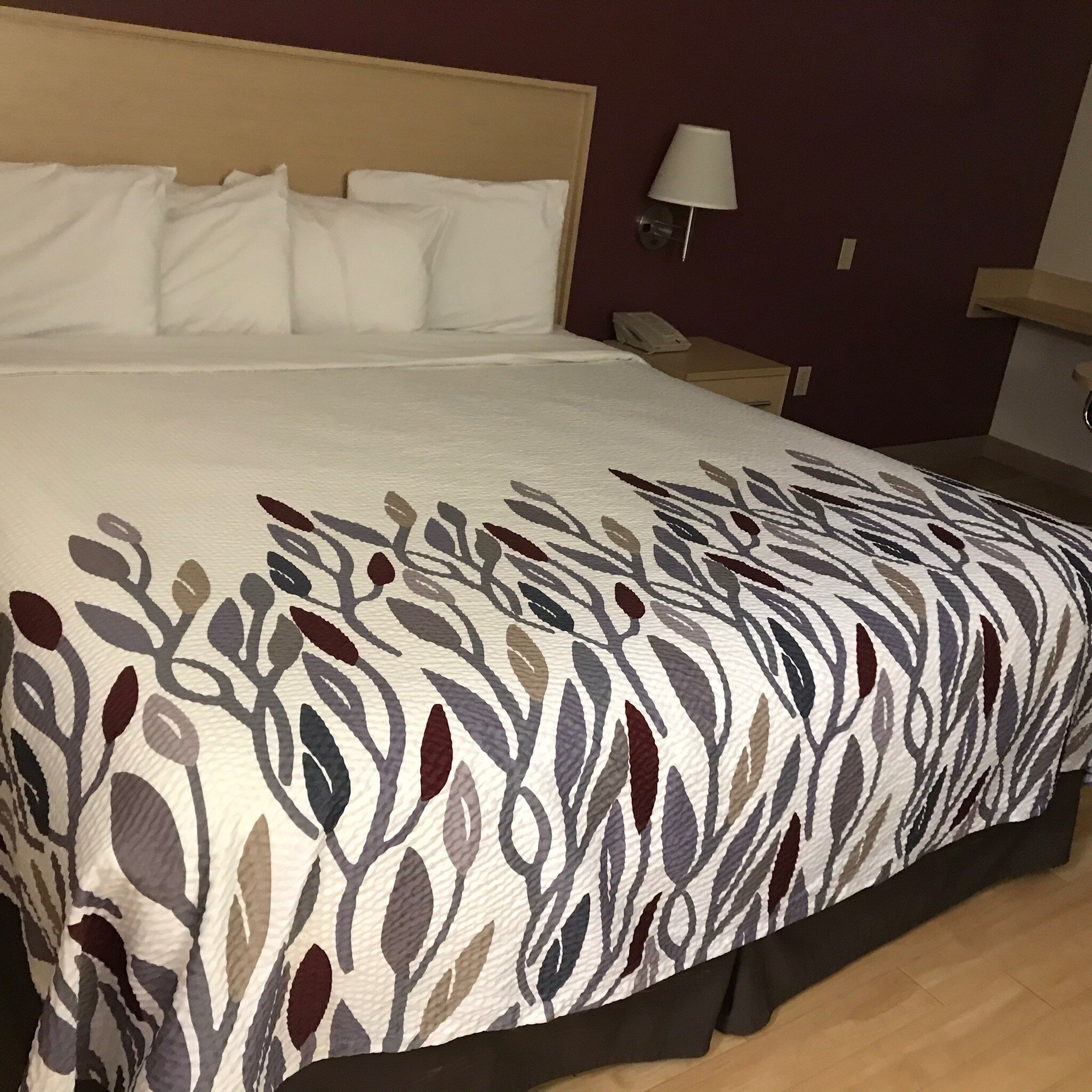 Red Roof Inn London I-75-官方