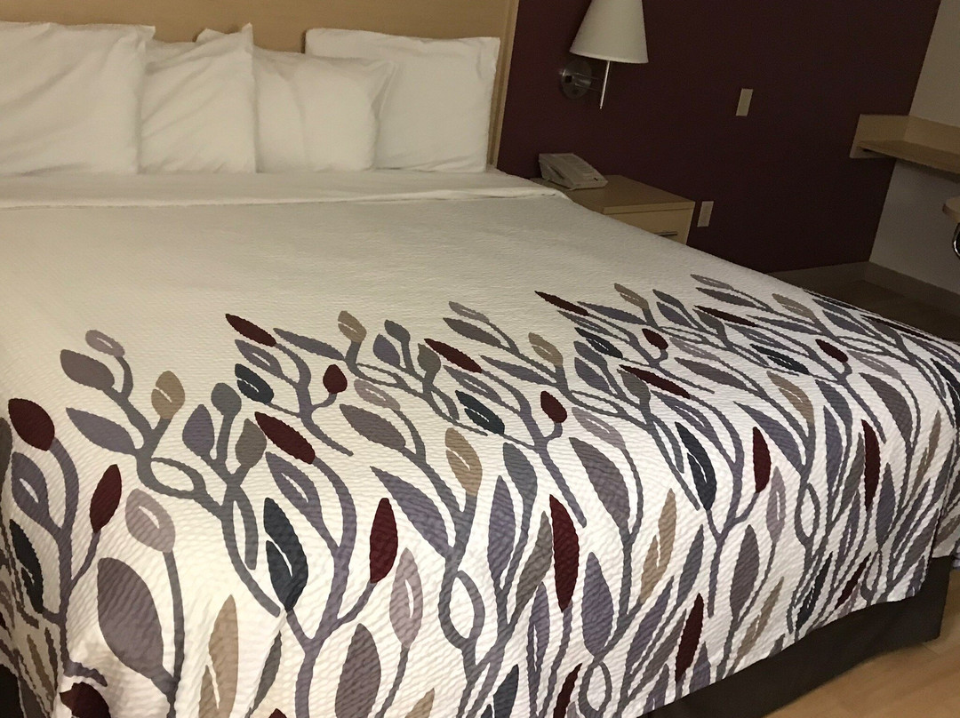 Red Roof Inn London I-75主图