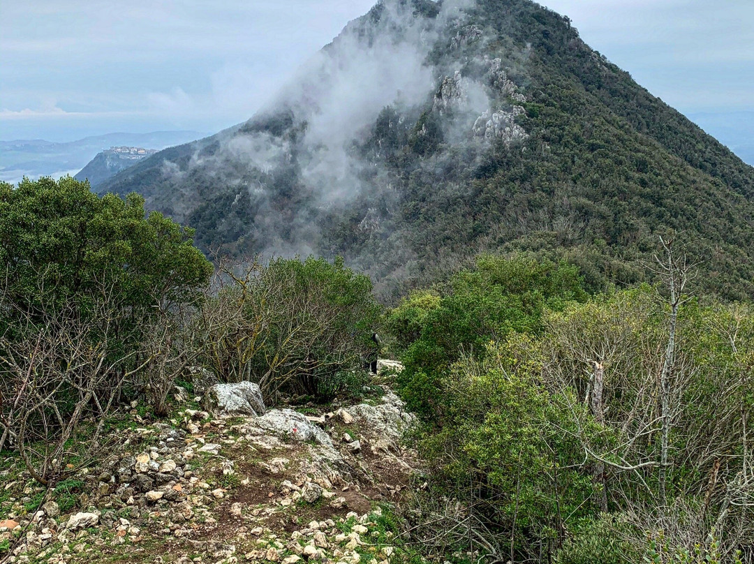Riserva Naturale Monte Soratte景点图片