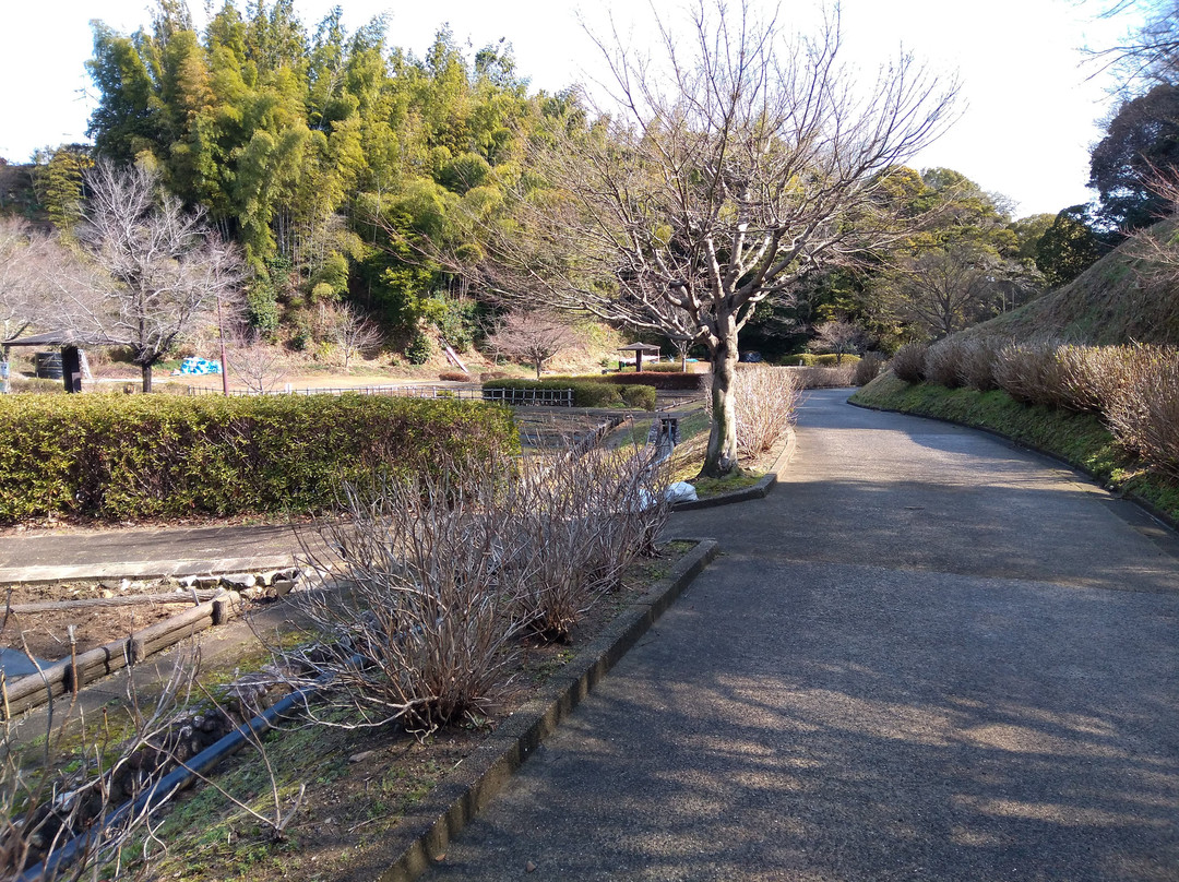 Kameyama Park景点图片