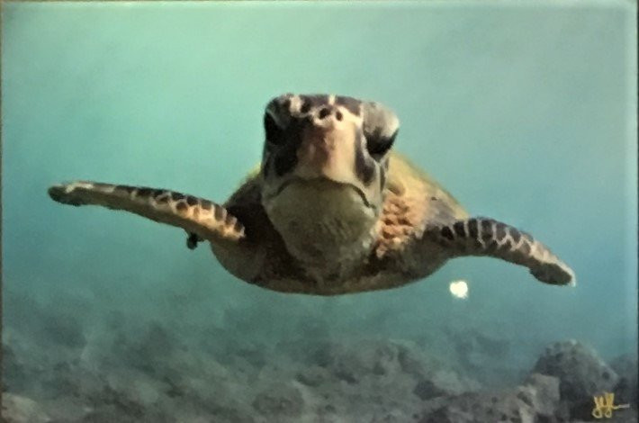 Extreme Exposure Fine Art Gallery-希洛必去景点