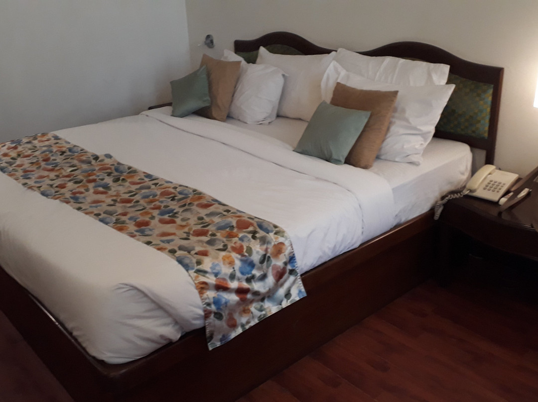 Hotel Crystal Palace主图