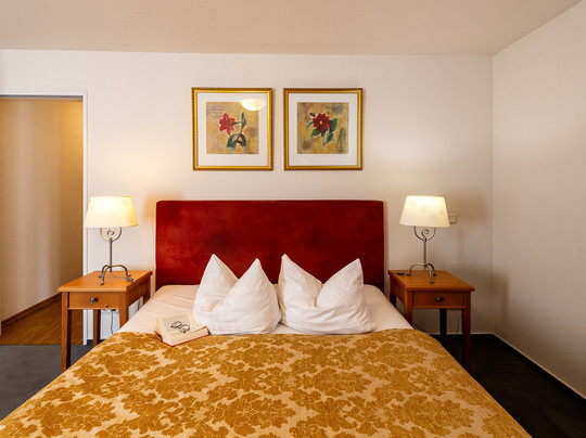 Apparthotel Bad Schandau by STEIGER Hotels主图