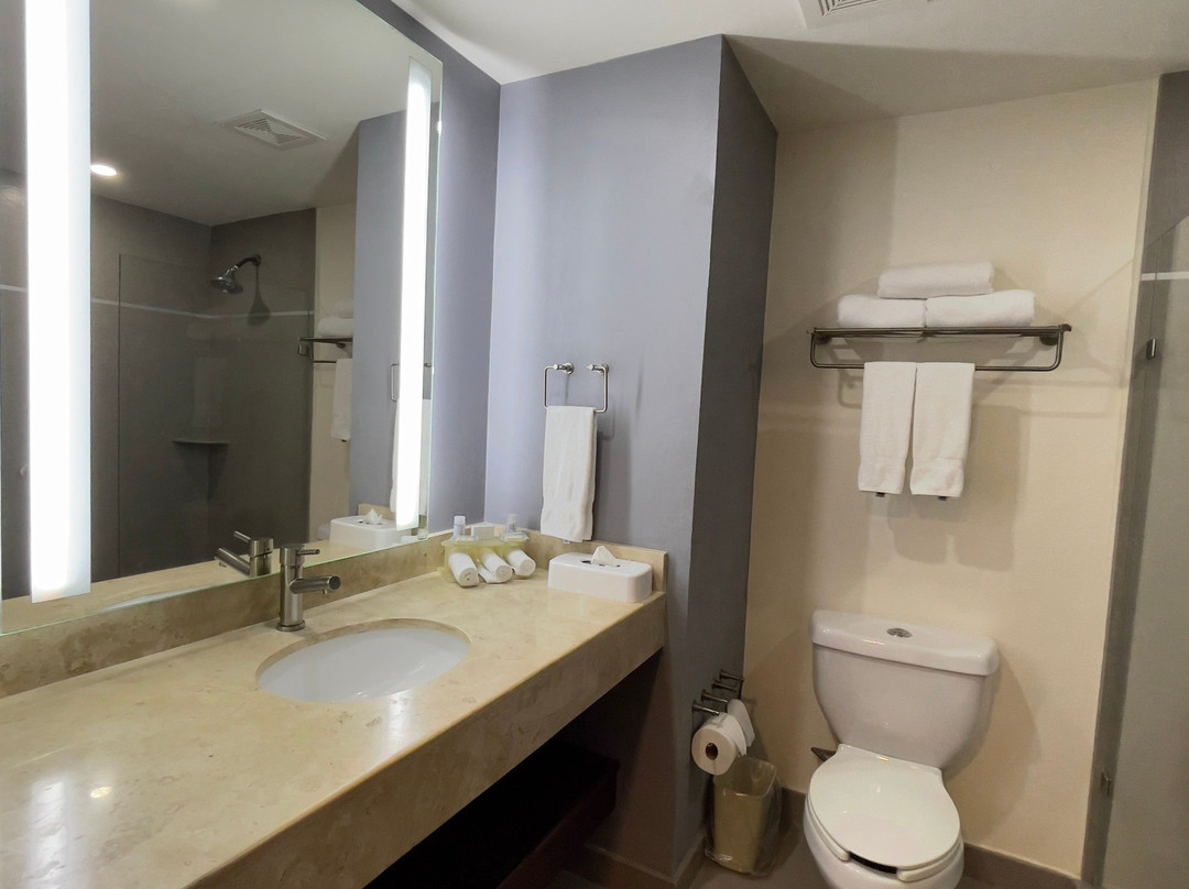 Holiday Inn Express Culiacan by IHG主图