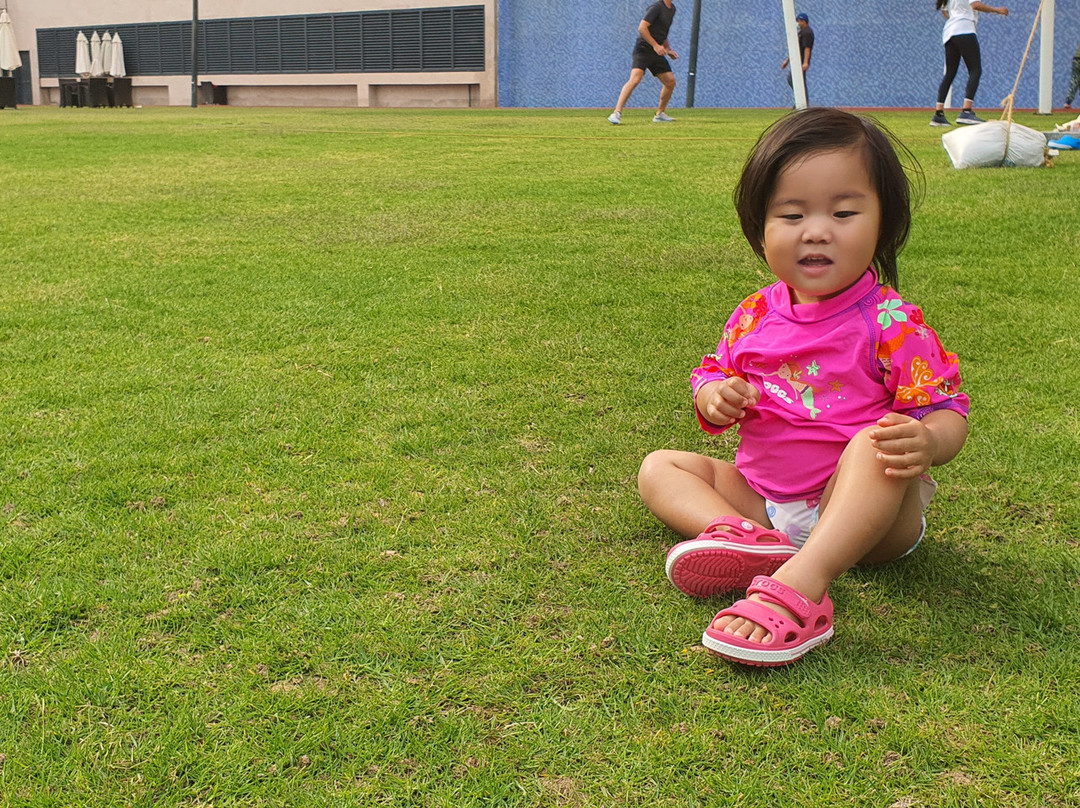 巴布皇宫酒店主图