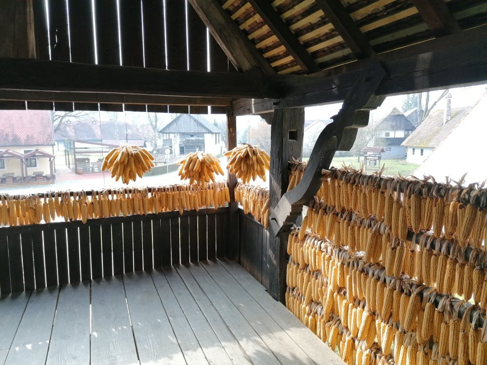 Staro selo museum景点图片