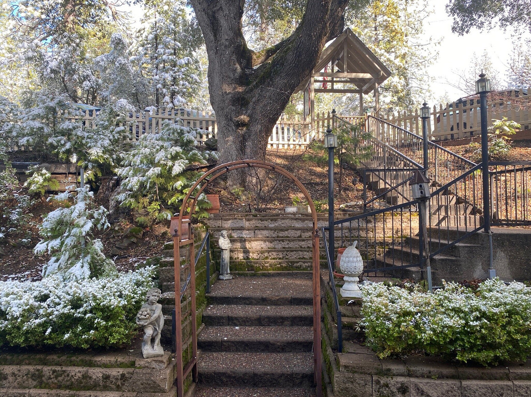 McCaffrey House Bed and Breakfast Inn主图