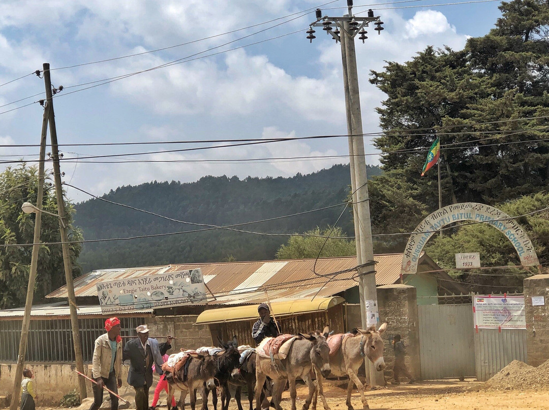 Addis Ethiopia Tours景点图片