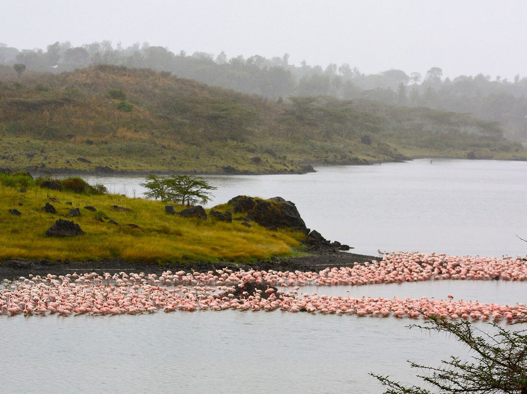 Hope Expedition Safaris