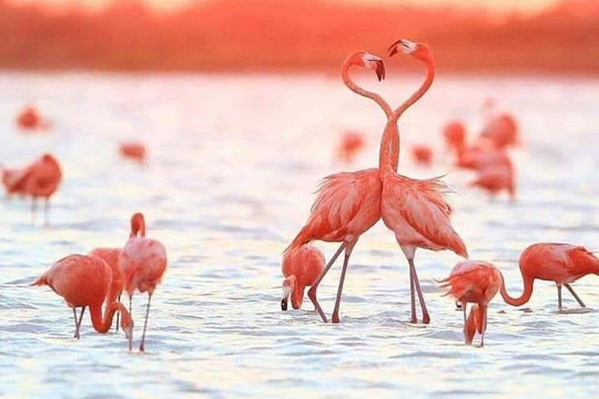 Maya tour Mid-梅里达必去景点