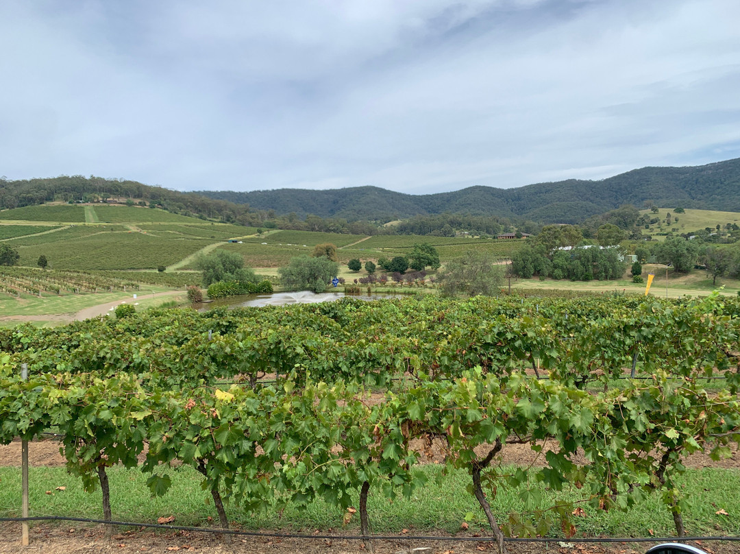 Hunter Trikes-Lovedale必去景点