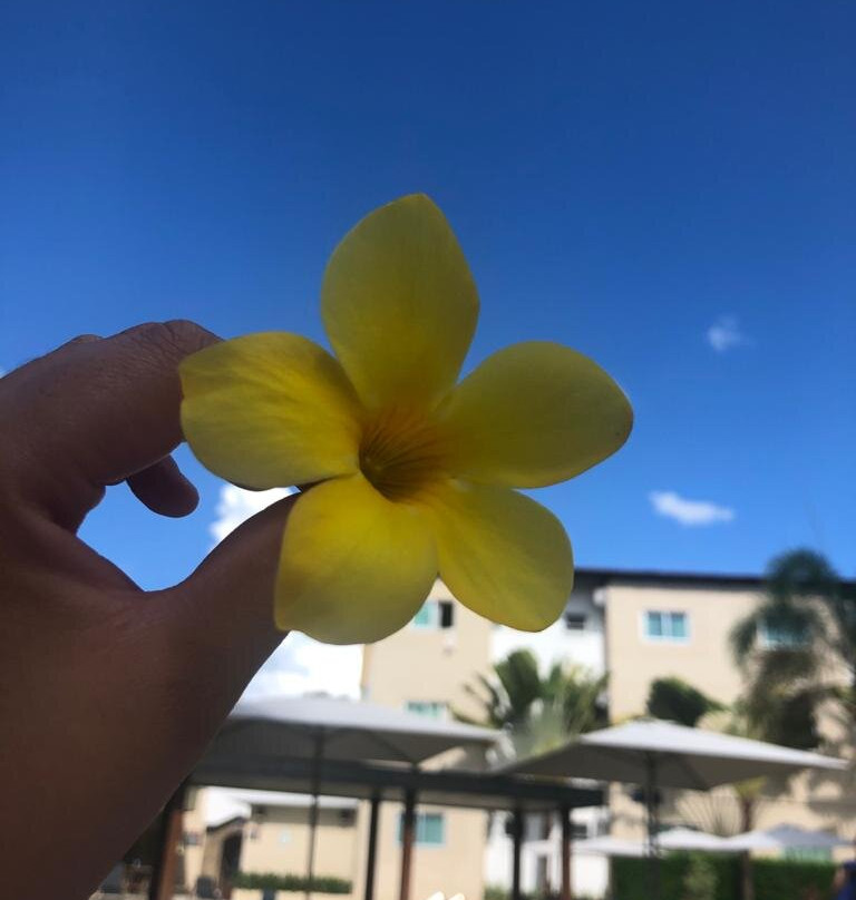 Hotel Morada Do Sol主图