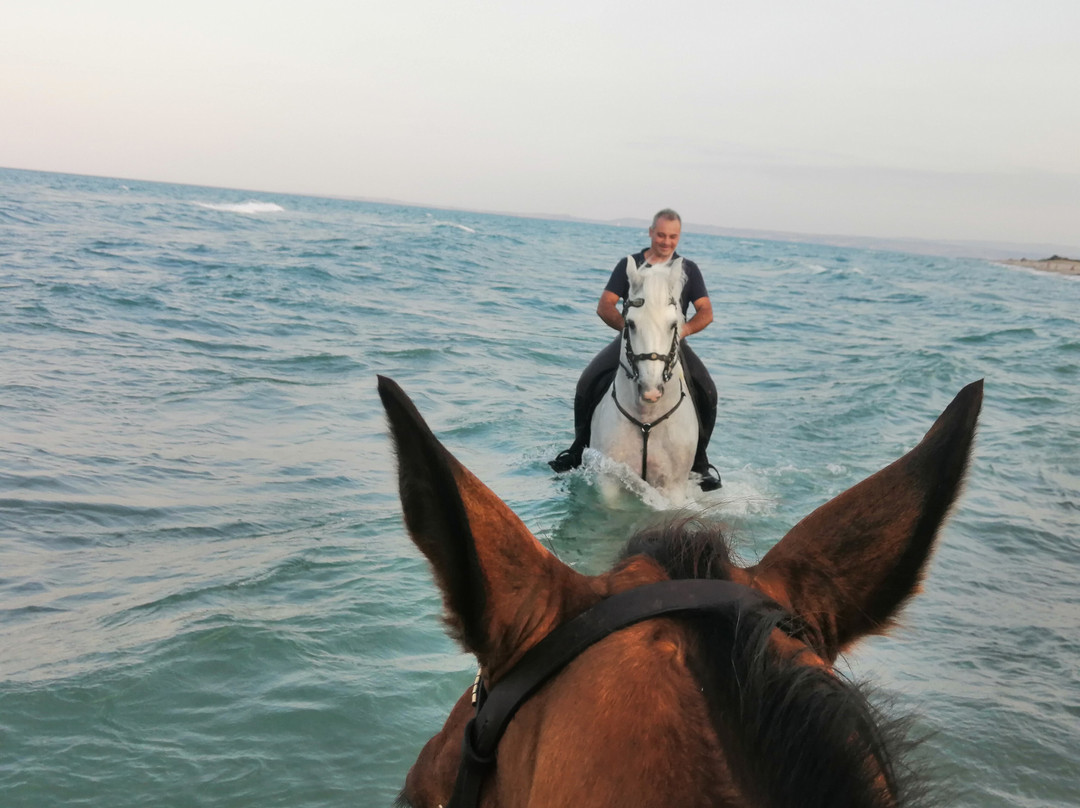 Sicily Horse Riding景点图片