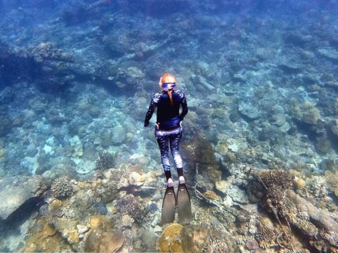 Freedive Christmas Island-圣诞岛必去景点