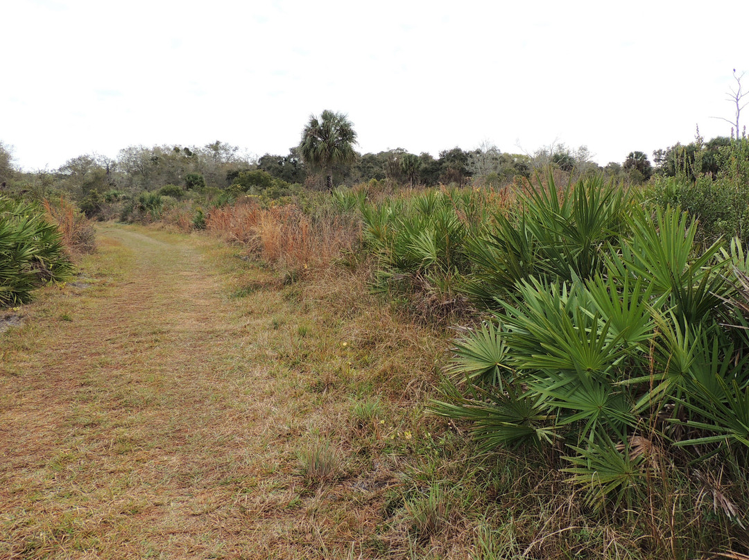 Jelks Preserve-威尼斯必去景点