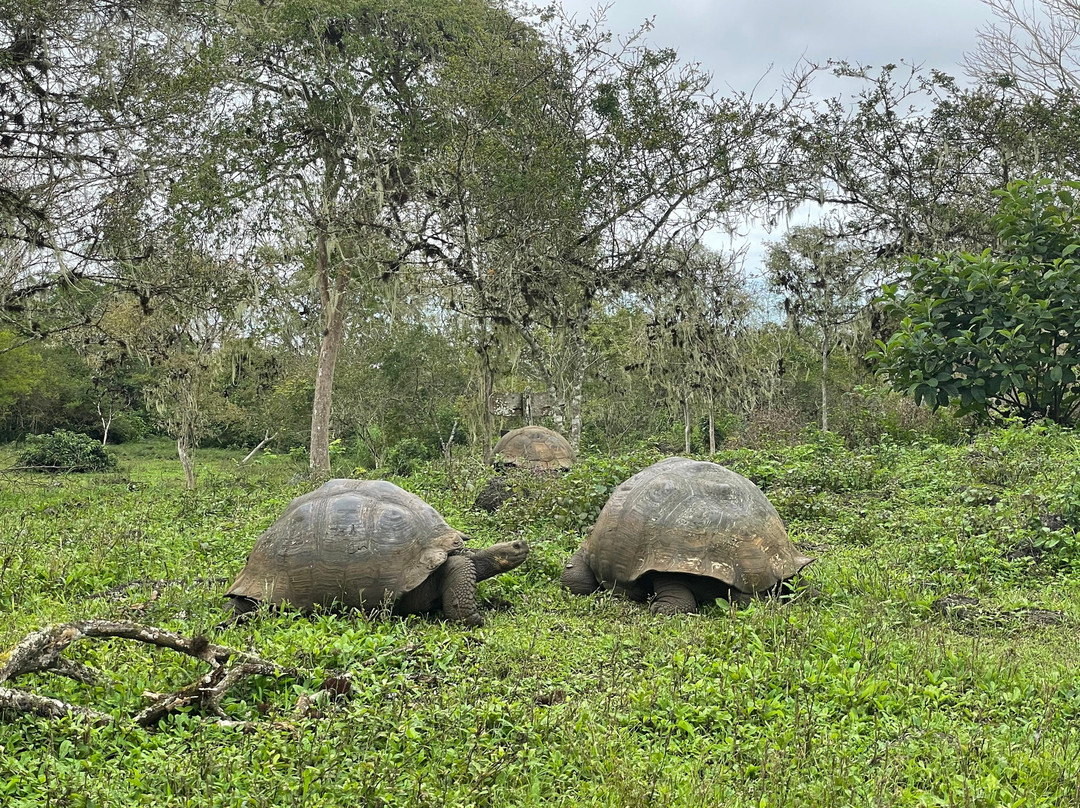 Rancho El Manzanillo-阿约拉港必去景点