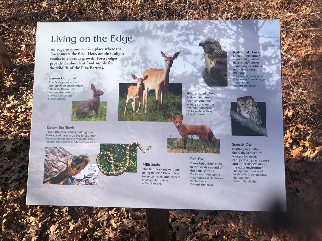 Connetquot River State Park Preserve-Bohemia必去景点