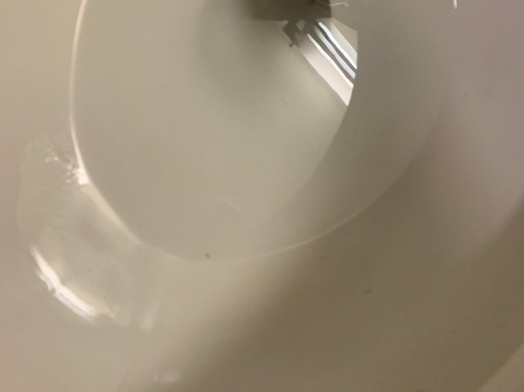 Residence Inn by Marriott Louisville East主图