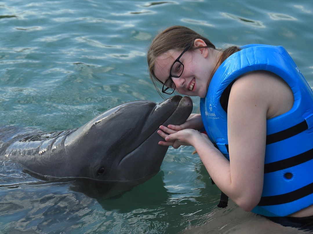 Delphinus Puerto Morelos-从莫雷洛斯港必去景点