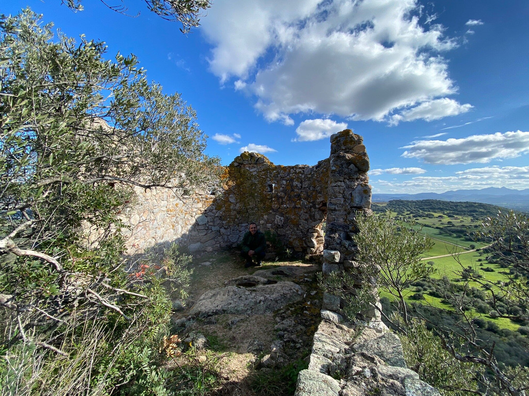 Castello di Sa Paulazza景点图片