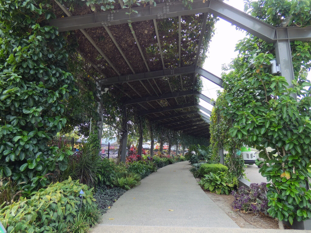 Munro Martin Parklands-凯恩斯必去景点