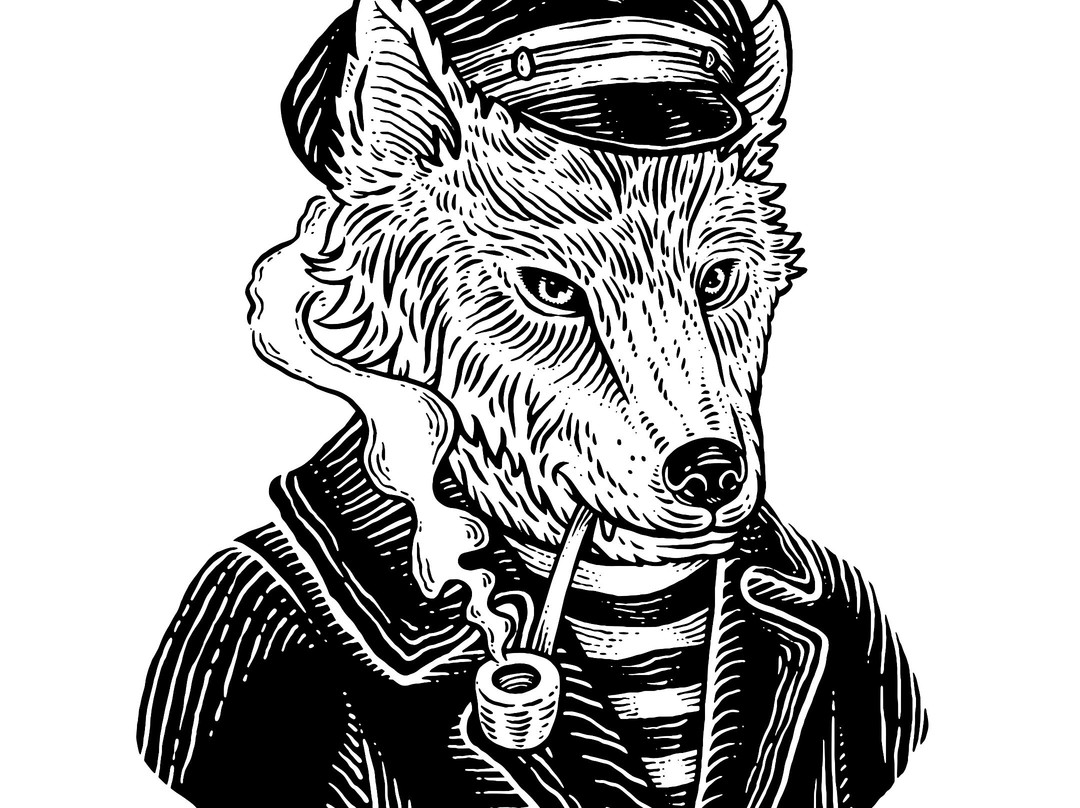 Sea Wolf Surf School-弗洛里亚诺波利斯必去景点