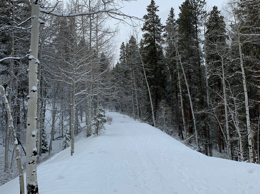 Hunter Creek Trail-阿斯蓬必去景点