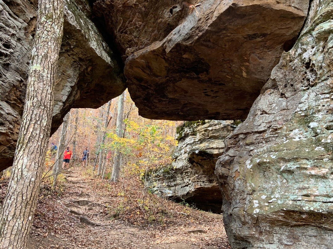 Buffalo National River Park-Harrison必去景点