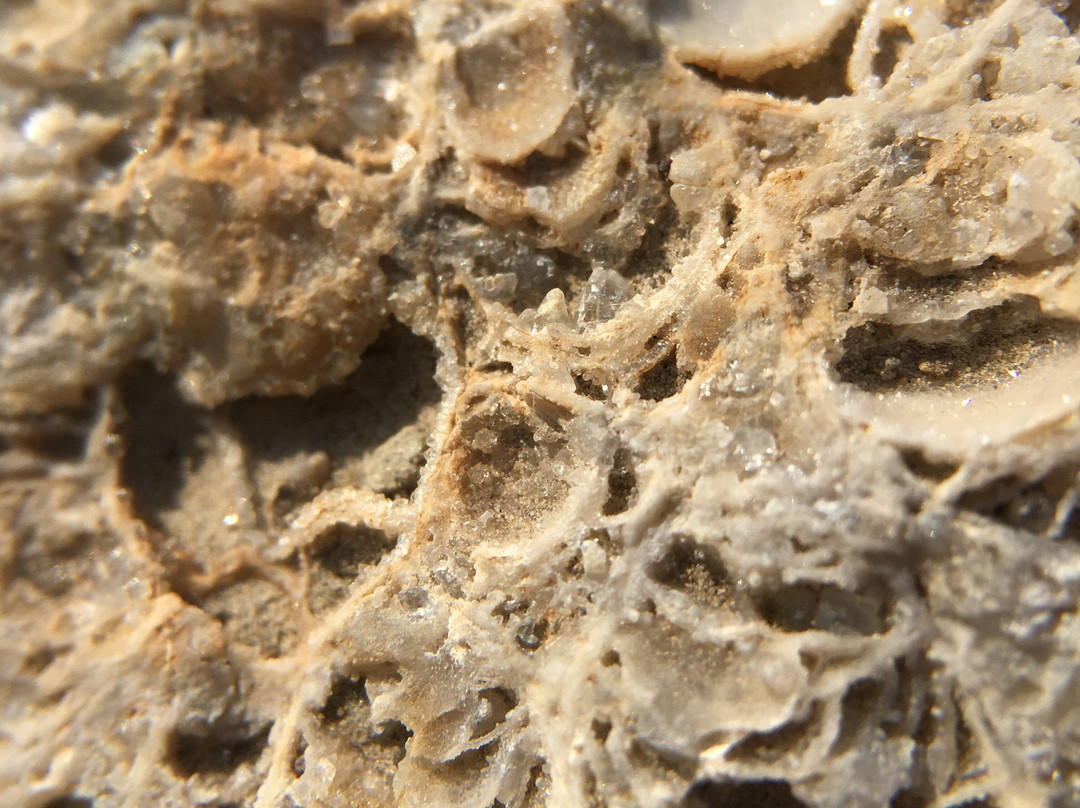 Wainfleet Wetlands Conservation Area-Wainfleet必去景点