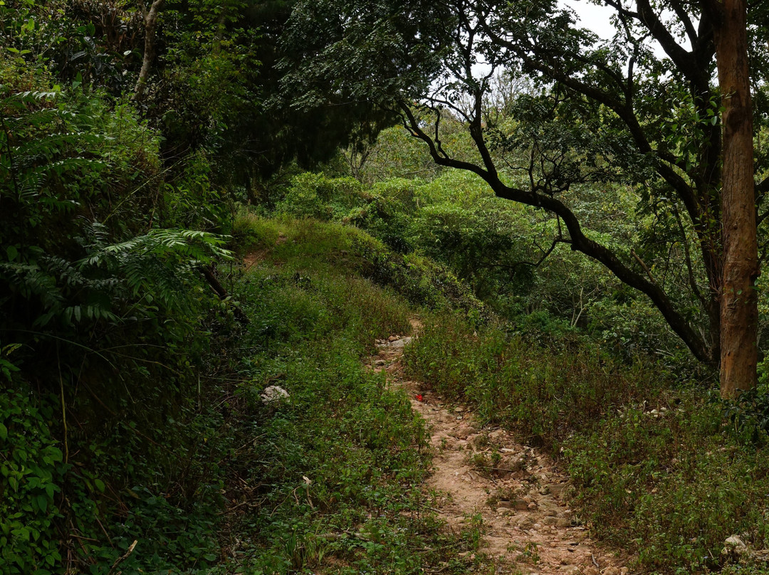 Knuckles Conservation Forest-Kandy District必去景点