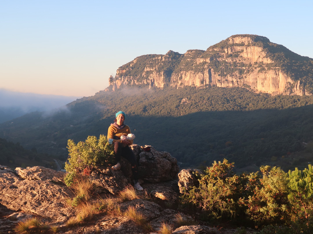 B&B Taccu Maccu主图