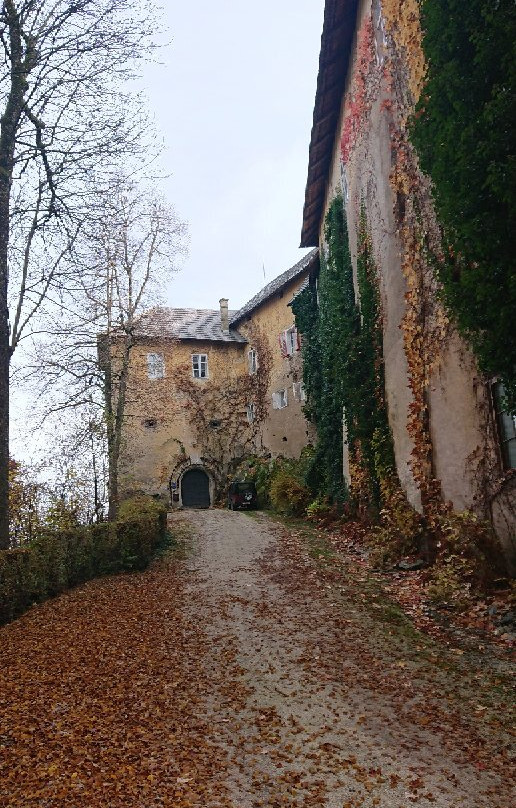 Schloss Hallegg景点图片
